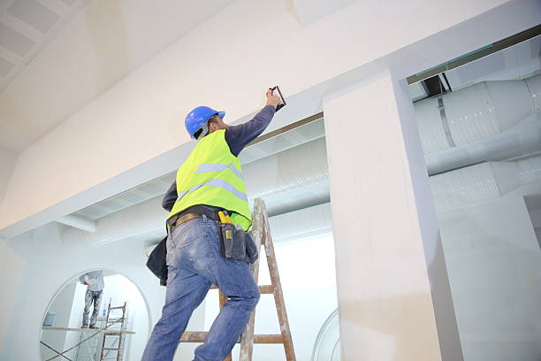 Best Commercial Mold Inspection  in Winder, GA